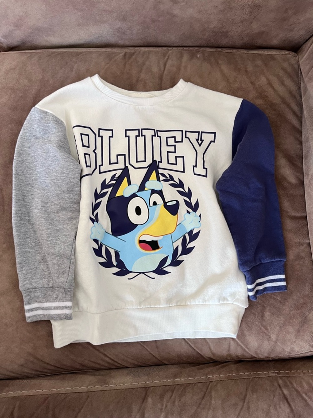 Bluey Crewneck Sweatshirt - White, Gray & Navy